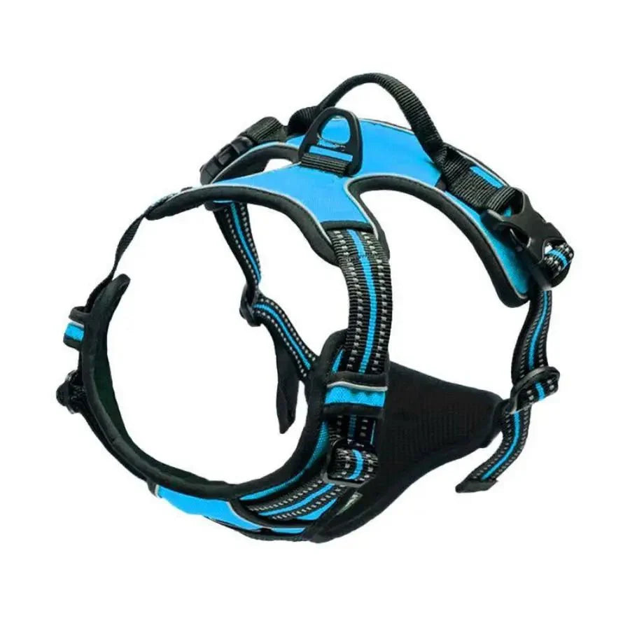 https://cdn.shopify.com/s/files/1/0647/9170/7830/files/harnais-chiot-shiba-inu-1603232.webp?v=1777923847