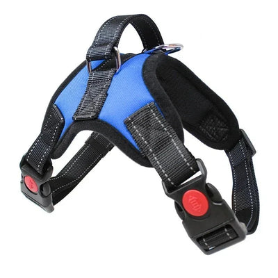 https://cdn.shopify.com/s/files/1/0647/9170/7830/files/harnais-chiot-shih-tzu-4014225.webp?v=1777923674