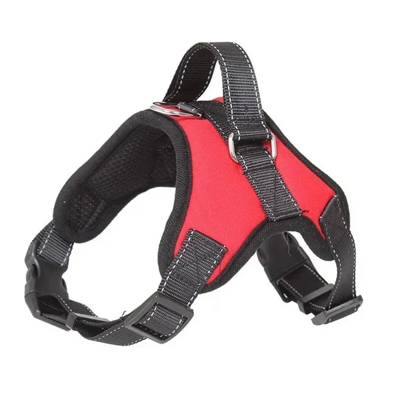 https://cdn.shopify.com/s/files/1/0647/9170/7830/files/harnais-chiot-teckel-8314934.webp?v=1777924149