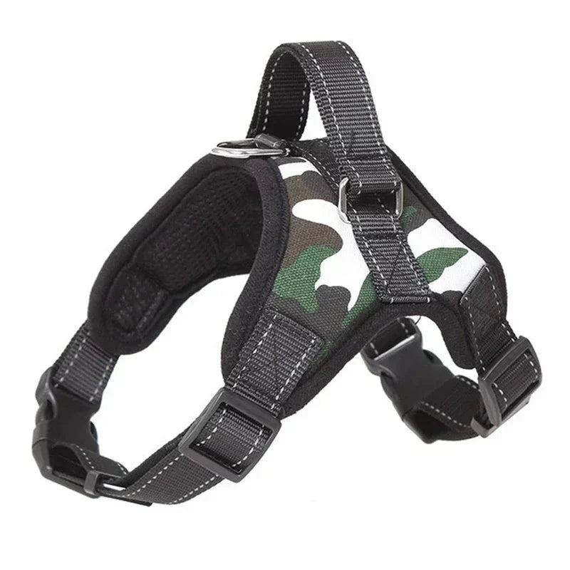 https://cdn.shopify.com/s/files/1/0647/9170/7830/files/harnais-chiot-yorkshire-9235231.webp?v=1777924807