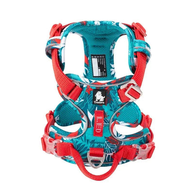 https://cdn.shopify.com/s/files/1/0647/9170/7830/files/harnais-confort-gros-chien-8364597.webp?v=1777923851