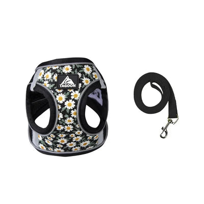 https://cdn.shopify.com/s/files/1/0647/9170/7830/files/harnais-confortable-pour-petit-chien-3852491.webp?v=1777924631