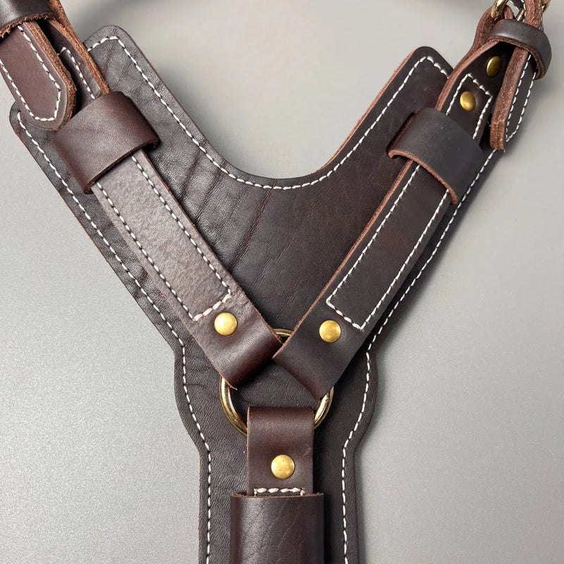 https://cdn.shopify.com/s/files/1/0647/9170/7830/files/harnais-cuir-chien-en-y-6861085.webp?v=1777924089