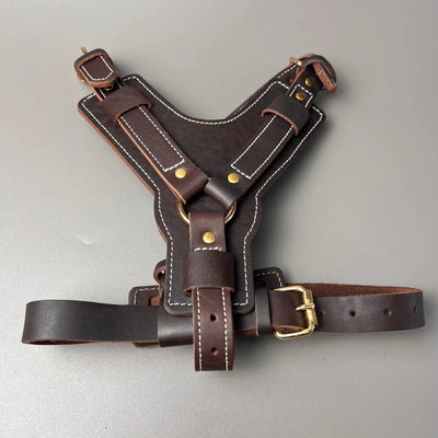 https://cdn.shopify.com/s/files/1/0647/9170/7830/files/harnais-cuir-chien-en-y-6861085.webp?v=1777924089