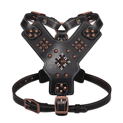https://cdn.shopify.com/s/files/1/0647/9170/7830/files/harnais-cuir-gros-chien-7173047.webp?v=1777923974