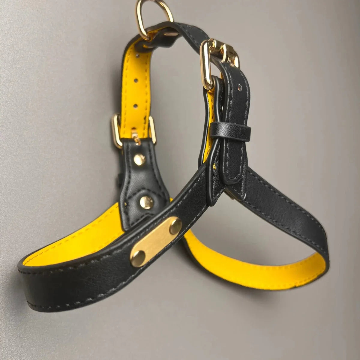 https://cdn.shopify.com/s/files/1/0647/9170/7830/files/harnais-cuir-pour-chien-en-y-7666584.webp?v=1777923972