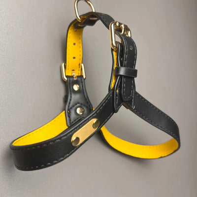 https://cdn.shopify.com/s/files/1/0647/9170/7830/files/harnais-cuir-pour-chien-en-y-7666584.webp?v=1777923972