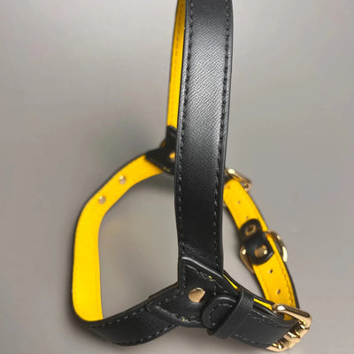 https://cdn.shopify.com/s/files/1/0647/9170/7830/files/harnais-cuir-pour-chien-en-y-9649897.webp?v=1777923973