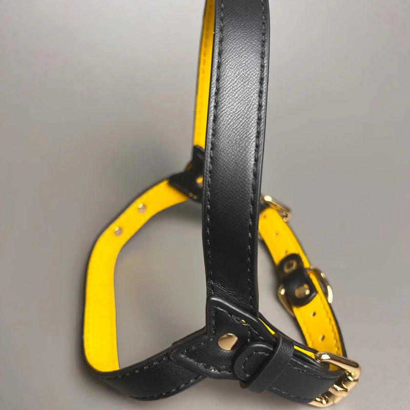 https://cdn.shopify.com/s/files/1/0647/9170/7830/files/harnais-cuir-pour-chien-en-y-7666584.webp?v=1777923972