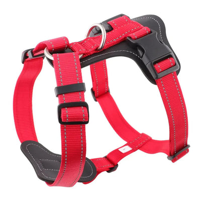 https://cdn.shopify.com/s/files/1/0647/9170/7830/files/harnais-cuir-pour-gros-chien-3555888.webp?v=1777924153