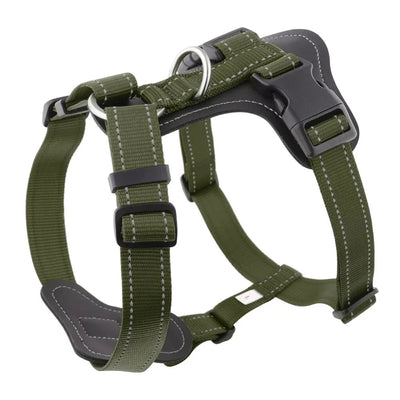 https://cdn.shopify.com/s/files/1/0647/9170/7830/files/harnais-cuir-pour-gros-chien-3671047.webp?v=1777924153