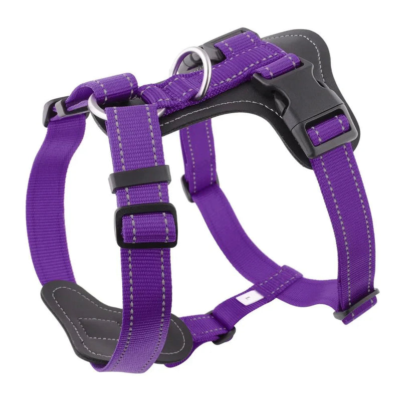 https://cdn.shopify.com/s/files/1/0647/9170/7830/files/harnais-cuir-pour-gros-chien-2408698.webp?v=1777924154