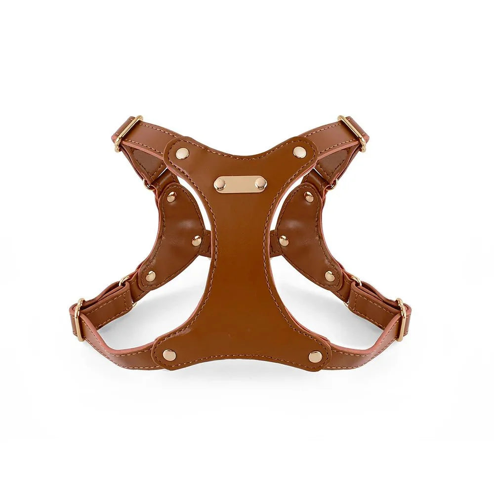https://cdn.shopify.com/s/files/1/0647/9170/7830/files/harnais-de-cuir-pour-petit-chien-4427475.webp?v=1777923975