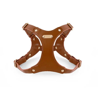 https://cdn.shopify.com/s/files/1/0647/9170/7830/files/harnais-de-cuir-pour-petit-chien-4427475.webp?v=1777923975