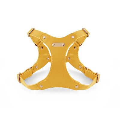 https://cdn.shopify.com/s/files/1/0647/9170/7830/files/harnais-de-cuir-pour-petit-chien-8139141.webp?v=1777923975
