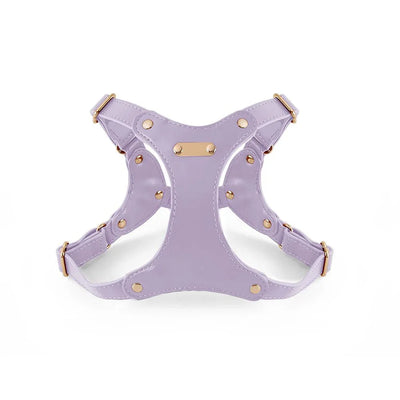 https://cdn.shopify.com/s/files/1/0647/9170/7830/files/harnais-de-cuir-pour-petit-chien-9364810.webp?v=1777923975