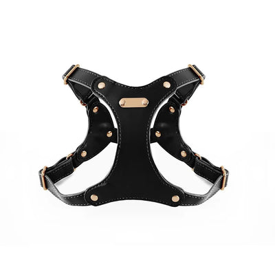 https://cdn.shopify.com/s/files/1/0647/9170/7830/files/harnais-de-cuir-pour-petit-chien-9858886.webp?v=1777923974