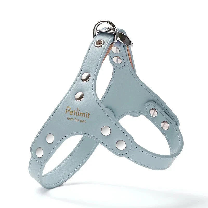 https://cdn.shopify.com/s/files/1/0647/9170/7830/files/harnais-de-luxe-pour-petit-chien-2577513.webp?v=1777923853