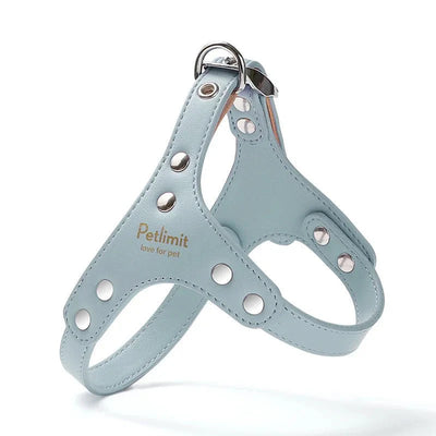 https://cdn.shopify.com/s/files/1/0647/9170/7830/files/harnais-de-luxe-pour-petit-chien-2577513.webp?v=1777923853