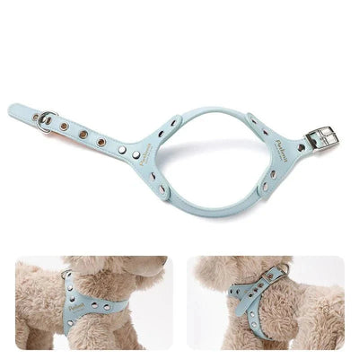 https://cdn.shopify.com/s/files/1/0647/9170/7830/files/harnais-de-luxe-pour-petit-chien-2609286.webp?v=1777923854