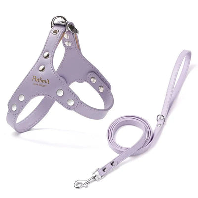 https://cdn.shopify.com/s/files/1/0647/9170/7830/files/harnais-de-luxe-pour-petit-chien-3770960.webp?v=1777923854
