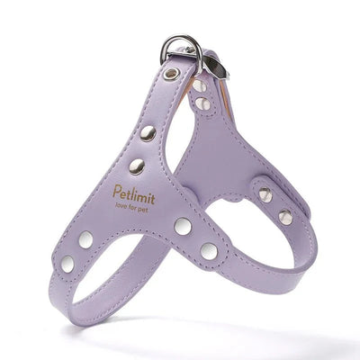 https://cdn.shopify.com/s/files/1/0647/9170/7830/files/harnais-de-luxe-pour-petit-chien-6220304.webp?v=1777923854