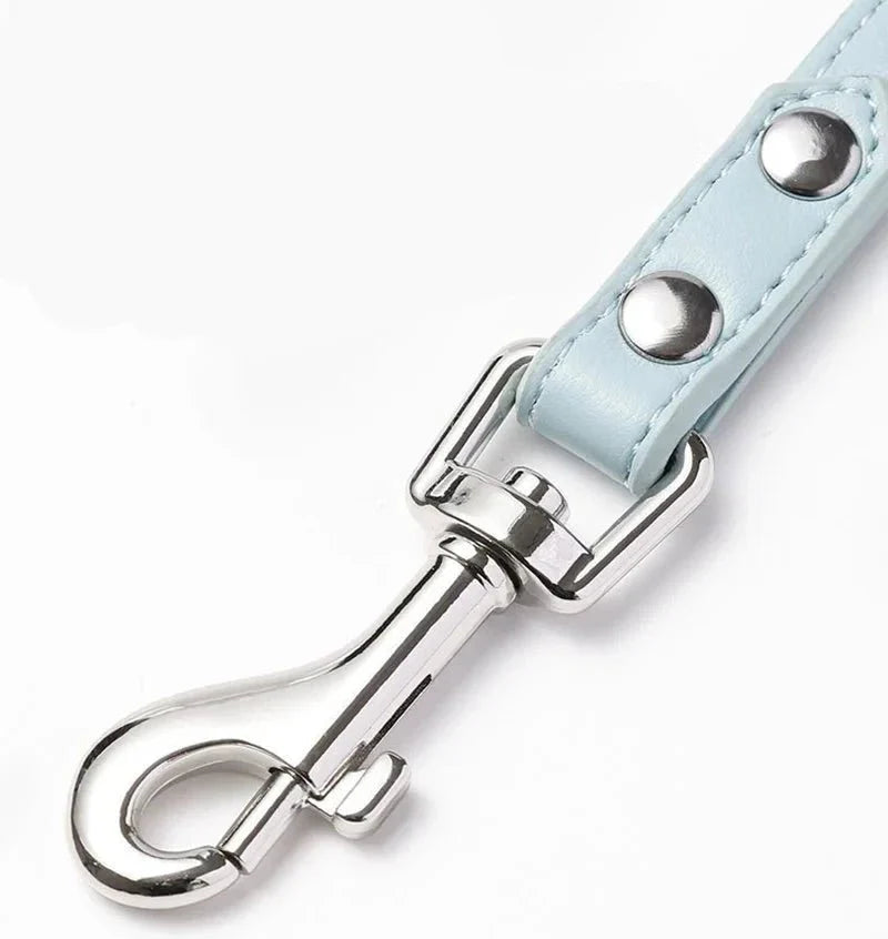 https://cdn.shopify.com/s/files/1/0647/9170/7830/files/harnais-de-luxe-pour-petit-chien-2577513.webp?v=1777923853
