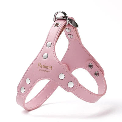 https://cdn.shopify.com/s/files/1/0647/9170/7830/files/harnais-de-luxe-pour-petit-chien-8075641.webp?v=1777923854