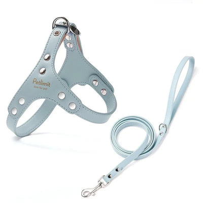 https://cdn.shopify.com/s/files/1/0647/9170/7830/files/harnais-de-luxe-pour-petit-chien-8110022.webp?v=1777923854