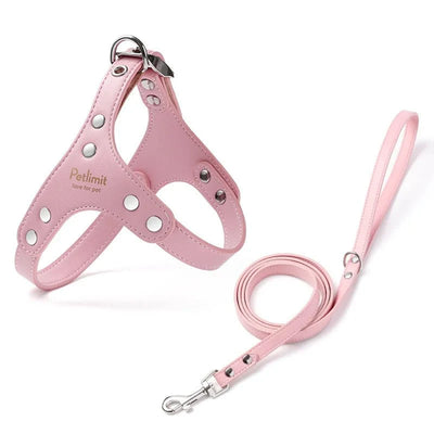 https://cdn.shopify.com/s/files/1/0647/9170/7830/files/harnais-de-luxe-pour-petit-chien-8597959.webp?v=1777923857