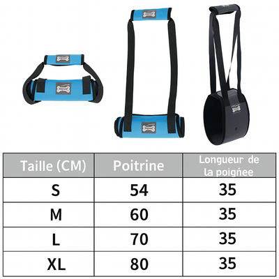 https://cdn.shopify.com/s/files/1/0647/9170/7830/files/harnais-de-maintien-pour-chien-9775914.png?v=1777925530