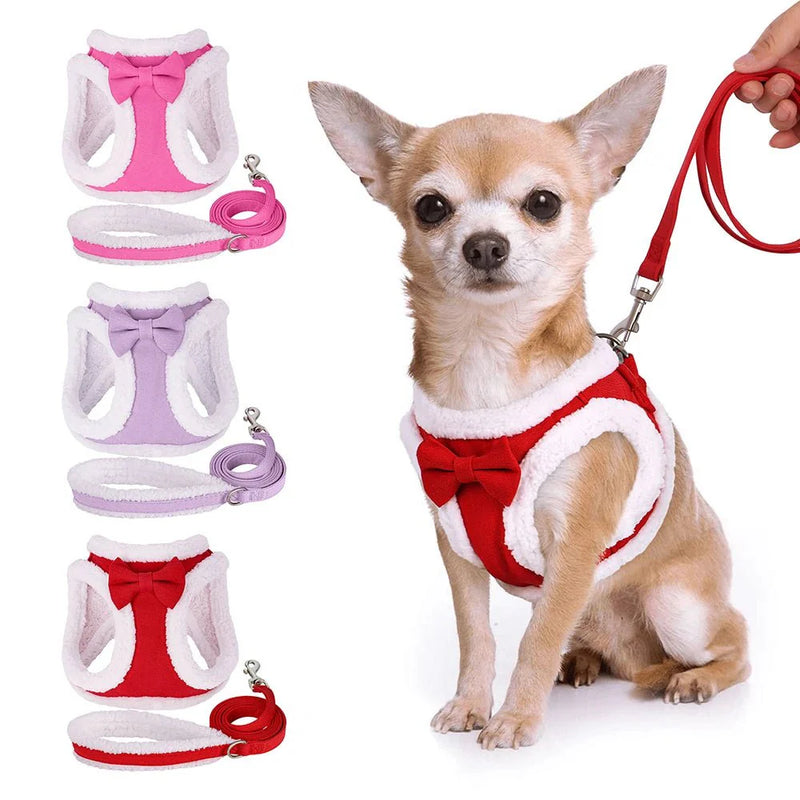 https://cdn.shopify.com/s/files/1/0647/9170/7830/files/harnais-de-noel-avec-laisse-pour-chihuahua-8476365.webp?v=1777924692