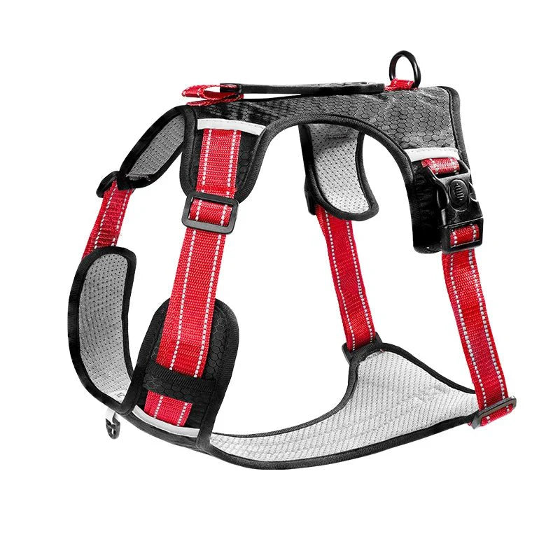 https://cdn.shopify.com/s/files/1/0647/9170/7830/files/harnais-de-randonnee-pour-chien-2356331.webp?v=1777925351