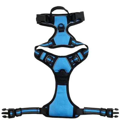 https://cdn.shopify.com/s/files/1/0647/9170/7830/files/harnais-de-securite-pour-petit-chien-2371714.webp?v=1777924037
