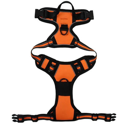 https://cdn.shopify.com/s/files/1/0647/9170/7830/files/harnais-de-securite-pour-petit-chien-2878829.webp?v=1777924570