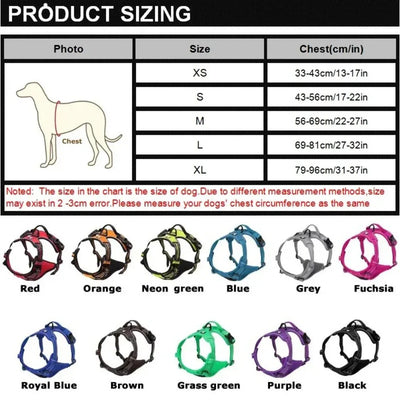 https://cdn.shopify.com/s/files/1/0647/9170/7830/files/harnais-de-securite-pour-petit-chien-7551572.webp?v=1777924035