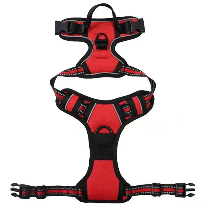 https://cdn.shopify.com/s/files/1/0647/9170/7830/files/harnais-de-securite-pour-petit-chien-9110365.webp?v=1777924035