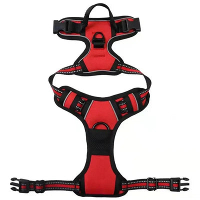 https://cdn.shopify.com/s/files/1/0647/9170/7830/files/harnais-de-securite-pour-petit-chien-9110365.webp?v=1777924035