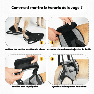 https://cdn.shopify.com/s/files/1/0647/9170/7830/files/harnais-de-soulagement-pour-chien-1038070.png?v=1777925231