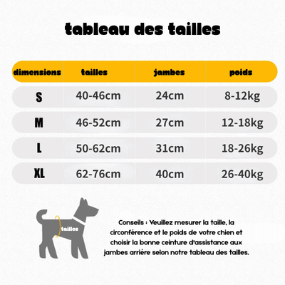 https://cdn.shopify.com/s/files/1/0647/9170/7830/files/harnais-de-soulagement-pour-chien-2021380.png?v=1777925231