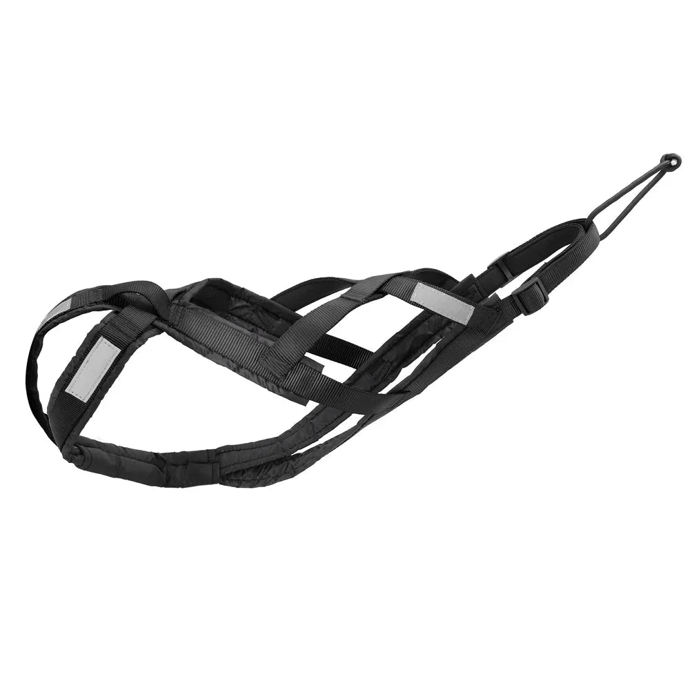 https://cdn.shopify.com/s/files/1/0647/9170/7830/files/harnais-de-traction-canicross-4569875.webp?v=1777924451