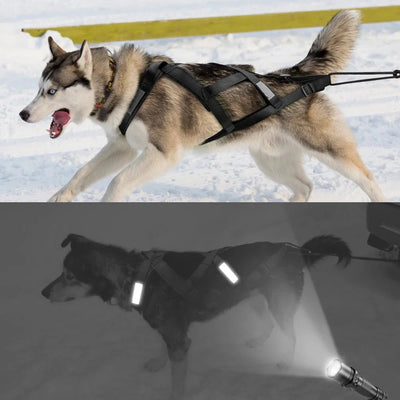 https://cdn.shopify.com/s/files/1/0647/9170/7830/files/harnais-de-traineau-pour-chien-4624642.webp?v=1777923136