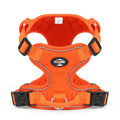 https://cdn.shopify.com/s/files/1/0647/9170/7830/files/harnais-de-voiture-pour-petit-chien-6258907.webp?v=1777924810