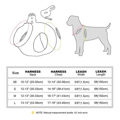 https://cdn.shopify.com/s/files/1/0647/9170/7830/files/harnais-dhiver-pour-petit-chien-avec-petite-laisse-2161103.webp?v=1777924753