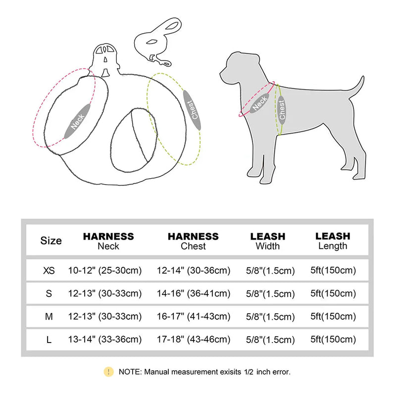 https://cdn.shopify.com/s/files/1/0647/9170/7830/files/harnais-dhiver-pour-petit-chien-avec-petite-laisse-8567249.webp?v=1777924753