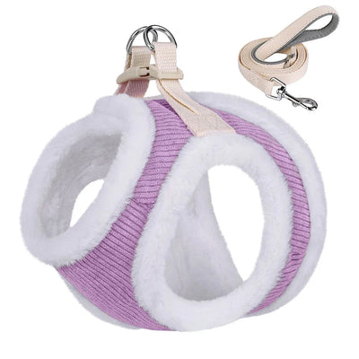 https://cdn.shopify.com/s/files/1/0647/9170/7830/files/harnais-dhiver-pour-petit-chien-avec-petite-laisse-3626138.webp?v=1777924754