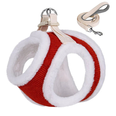 https://cdn.shopify.com/s/files/1/0647/9170/7830/files/harnais-dhiver-pour-petit-chien-avec-petite-laisse-4233259.webp?v=1777924754