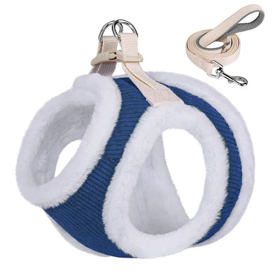 https://cdn.shopify.com/s/files/1/0647/9170/7830/files/harnais-dhiver-pour-petit-chien-avec-petite-laisse-6045548.webp?v=1777924754