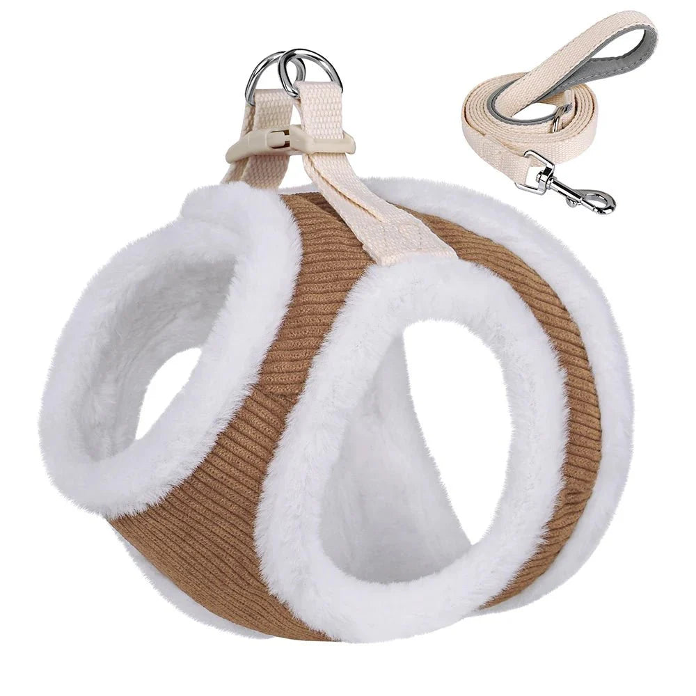 https://cdn.shopify.com/s/files/1/0647/9170/7830/files/harnais-dhiver-pour-petit-chien-avec-petite-laisse-8567249.webp?v=1777924753