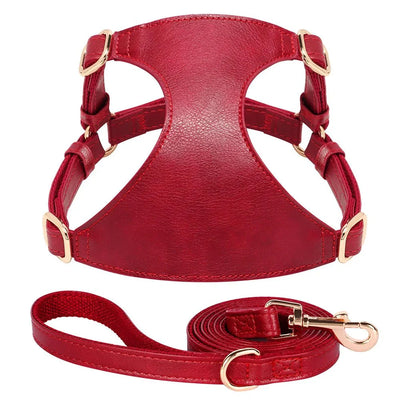 https://cdn.shopify.com/s/files/1/0647/9170/7830/files/harnais-en-cuir-pour-petit-chien-5436676.webp?v=1777924034